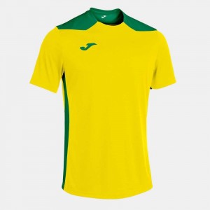 Joma Championship Vi Short Sleeve T-shirt Erkek Tişört Sarı Yeşil | 72MPCEALR